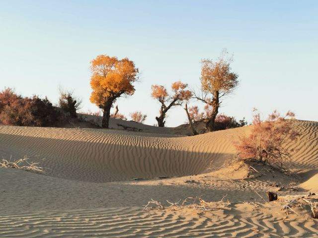 塔克拉玛干沙漠公路